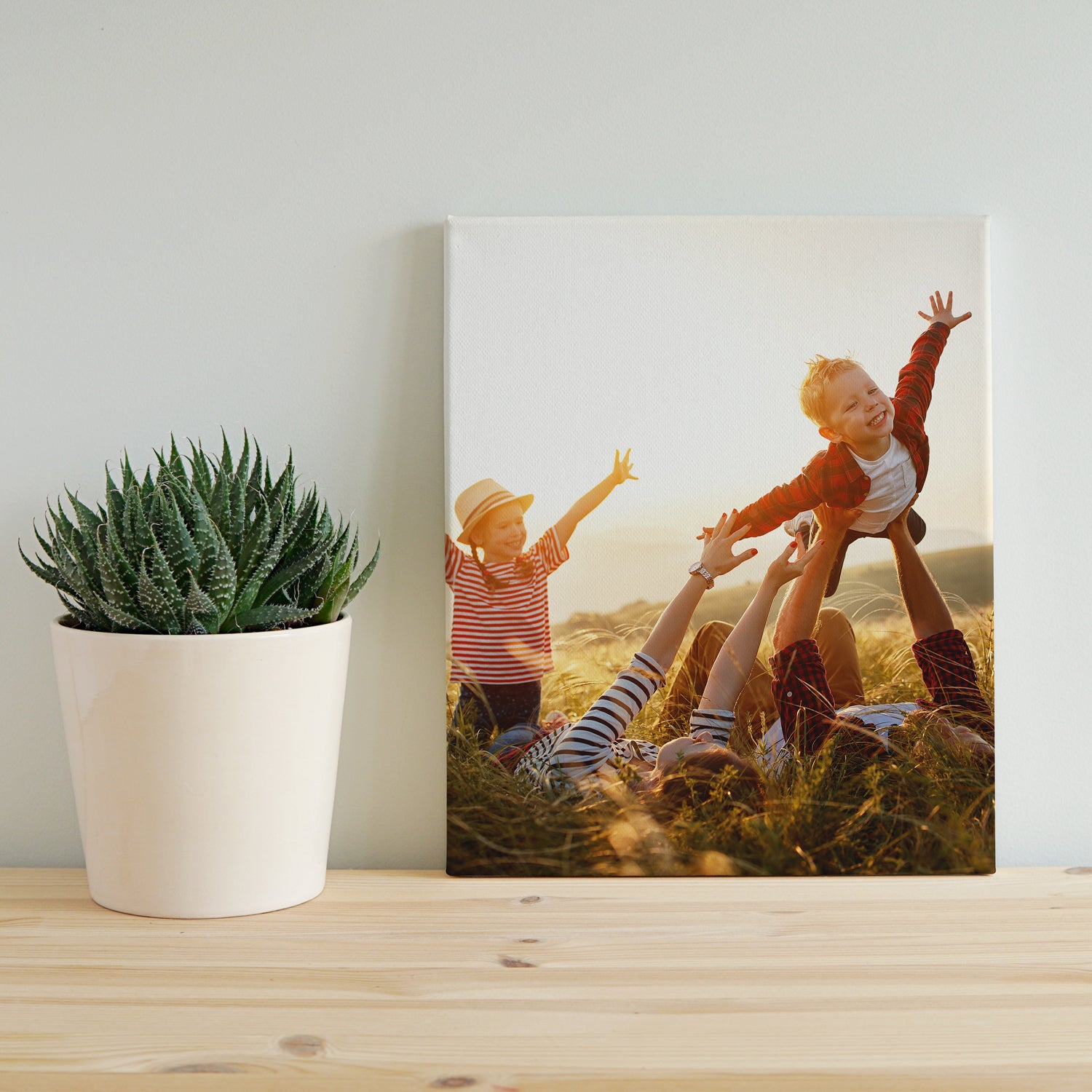 Canvas Prints
