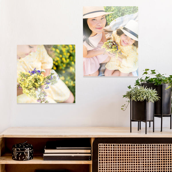 Metal Prints and Metal Posters