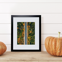Framed Prints